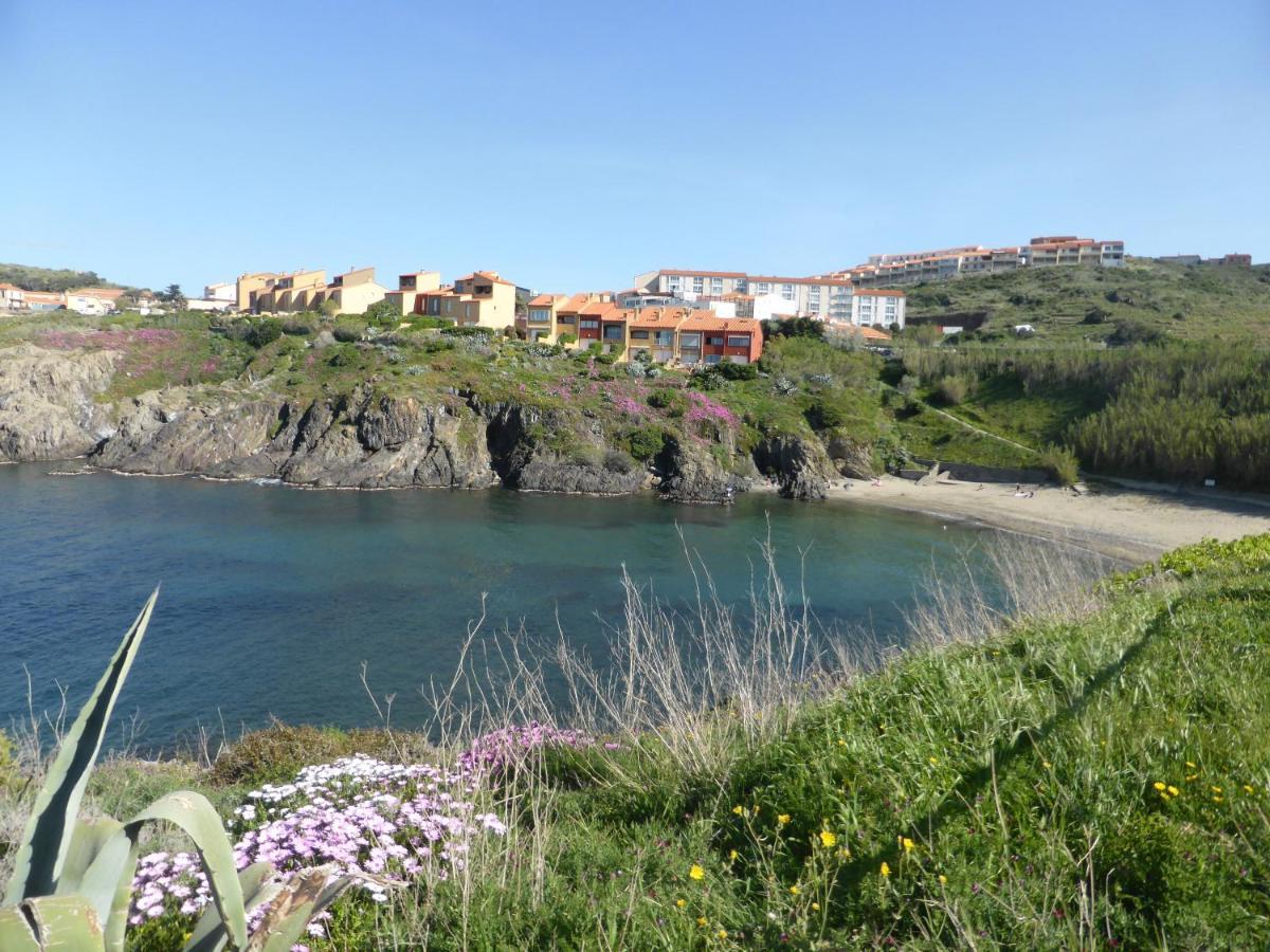 2Rb38A Appartement Vue Sur Mer Et Proche Plage Collioure Bagian luar foto
